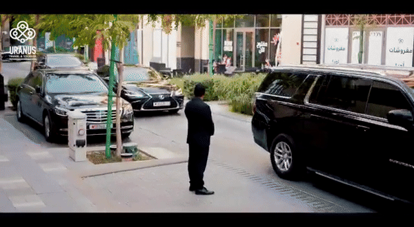 Dhahran Limousine Service Fleet