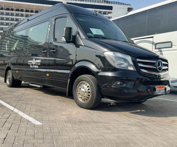 Mercedes Sprinter limo